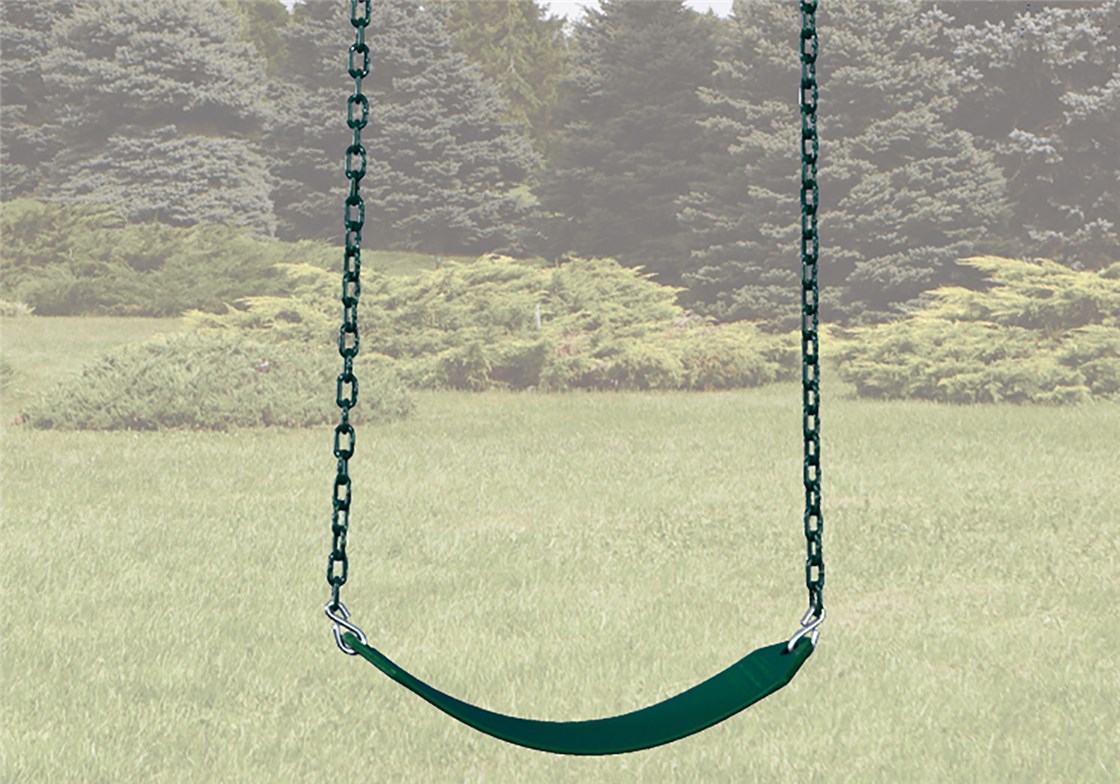 Belt Swing for Backyard Swing Sets